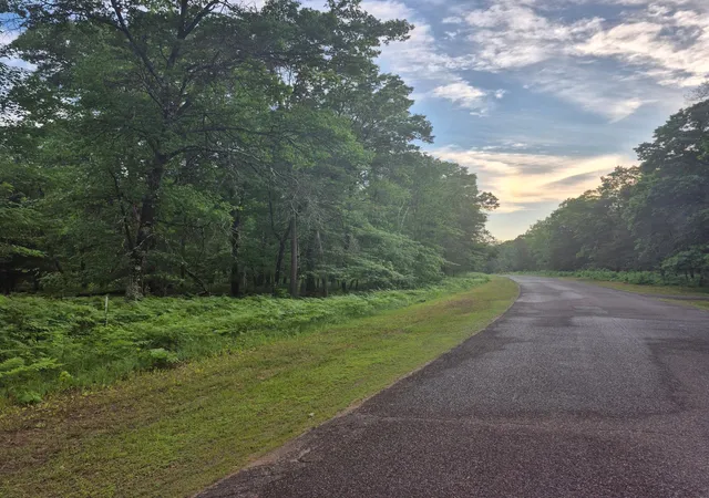 Homes for sale in Danbury, WI | Lot 216 Deerpath Road, Danbury, WI 54830 | MLS# 7088890
