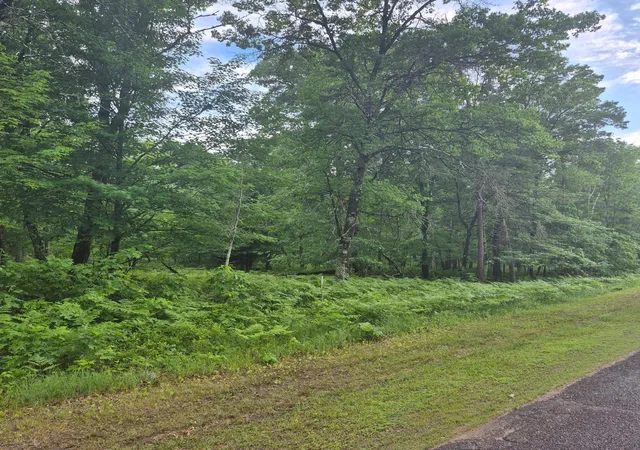 Homes for sale in Danbury, WI | Lot 216 Deerpath Road, Danbury, WI 54830 | MLS# 7088890