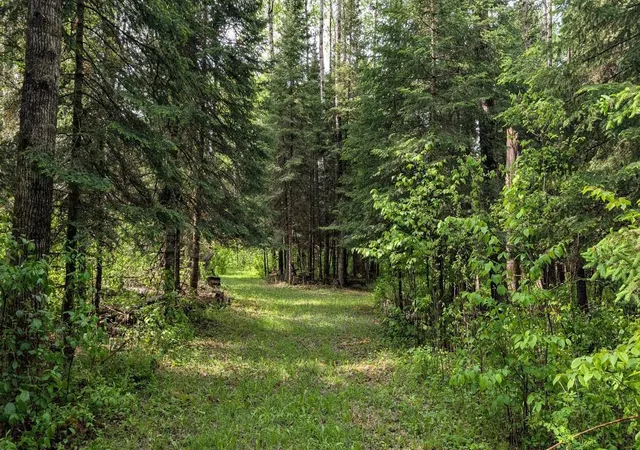 29th image of 11770 Meadowbrook Rd, Cook, MN 55723 | MLS# 7089277