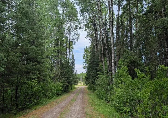 2nd image of 11770 Meadowbrook Rd, Cook, MN 55723 | MLS# 7089277