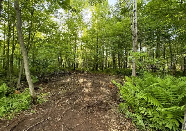 3rd image of Tbd Frontier Ln, Sturgeon Lake, MN 55783 | MLS# 7089313
