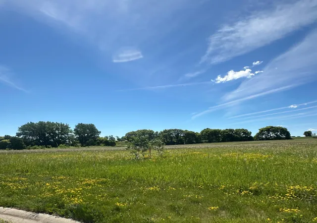 Homes for sale in Lynd, MN | 102 Savannah Heights Blvd, Lynd, MN 56157 | MLS# 7089498