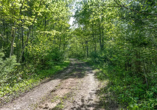 24th image of 9064 Peppard Rd, Britt, MN 55710 | MLS# 7089605