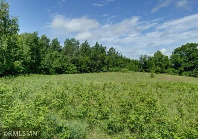Homes for sale in Luck, WI | 124Xx N Gabrielson Lake Rd, Luck, WI 54853 | MLS# 7089800