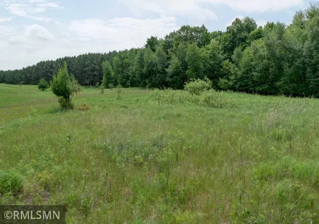 Homes for sale in Luck, WI | 124Xx N Gabrielson Lake Rd, Luck, WI 54853 | MLS# 7089800