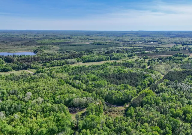 Homes for sale in Warba, MN | Tbd North Shallow Lake Rte, Warba, MN 55793 | MLS# 7089801