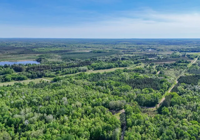 Homes for sale in Warba, MN | Tbd North Shallow Lake Rte, Warba, MN 55793 | MLS# 7089801