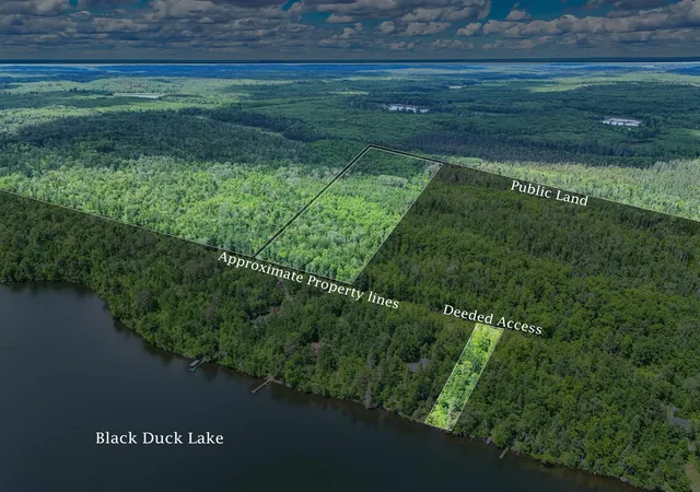 Homes for sale in Orr, MN | 10749 Lambert Rd, Orr, MN 55771 | MLS# 7090127