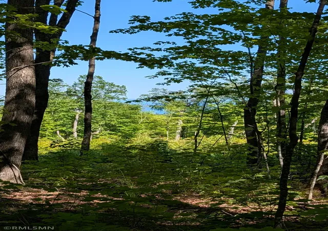 2nd image of 4995 Mount Rockwood Rd, Silver Bay, MN 55614 | MLS# 7090157