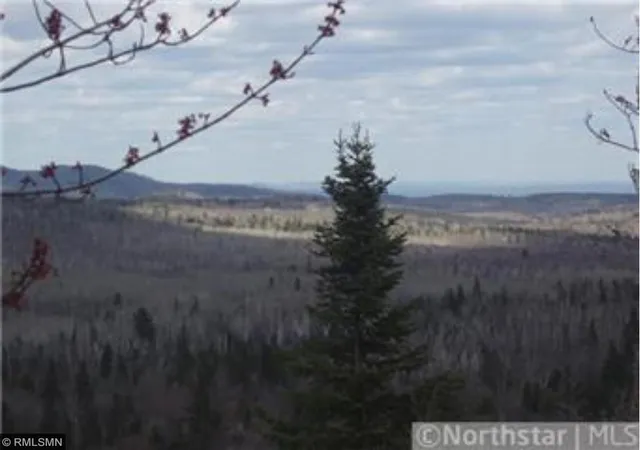 4th image of 4995 Mount Rockwood Rd, Silver Bay, MN 55614 | MLS# 7090157