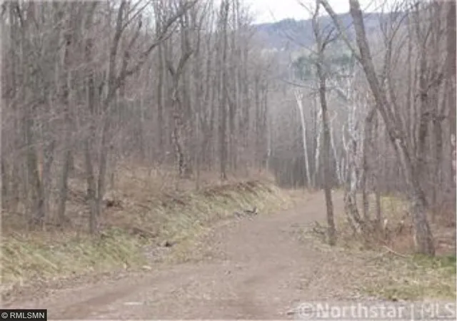 5th image of 4995 Mount Rockwood Rd, Silver Bay, MN 55614 | MLS# 7090157