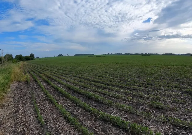 14th image of Tbd Hwy 218 Byp, Owatonna, MN 55060 | MLS# 7090164