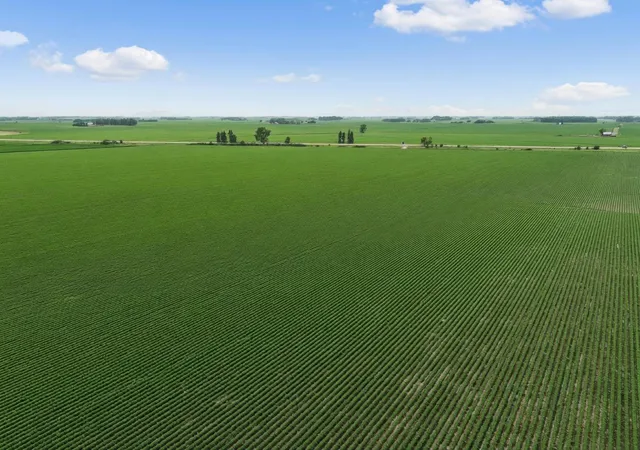 Photo 4 of Land for sale at Tbd Highway 218, Owatonna, MN 55060 | MLS# 7090164 | Listing updated on 2026-08-19