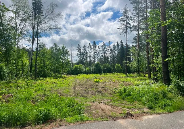Homes for sale in Grand Rapids, MN | Lot 9 Blk 1 Isleview Rd, Grand Rapids, MN 55744 | MLS# 7090453