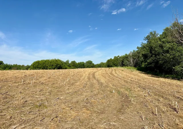 Homes for sale in Maiden Rock, WI | Lot 1 160th Ave, Maiden Rock, WI 54750 | MLS# 7090465