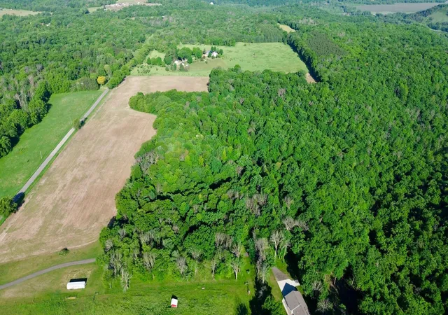Homes for sale in Maiden Rock, WI | Lot 1 160Th Ave, Maiden Rock, WI 54750 | MLS# 7090465