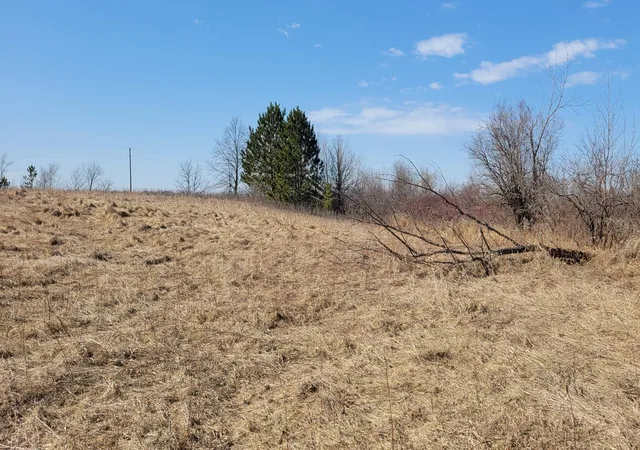 Photo 4 of Land for sale at 512xx Leaf River Rd Tract A, Ottertail, MN 56571 | MLS# 7090664 | Listing updated on 2026-09-22