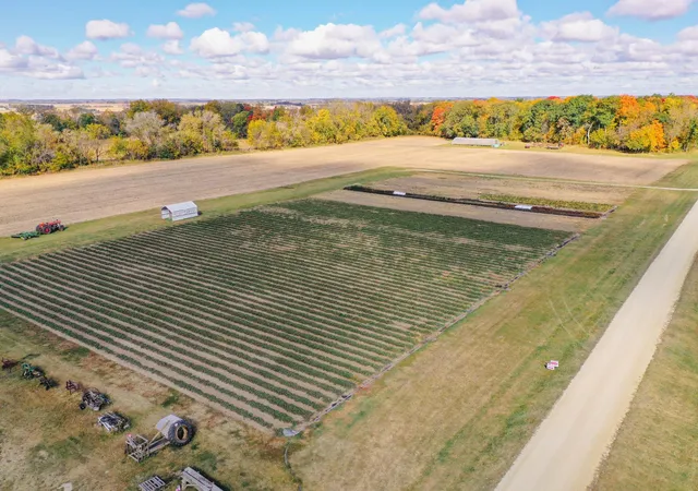 3rd image of 5561 115Th St E, Northfield, MN 55057 | MLS# 7091115