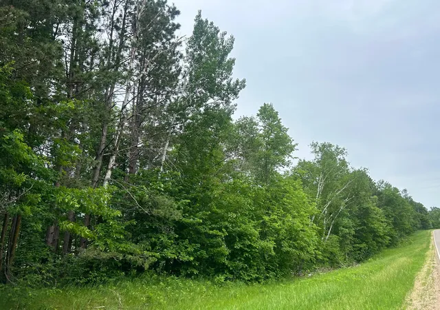 Homes for sale in Cushing, MN | Tbd County Rd 16, Cushing, MN 56443 | MLS# 7091144