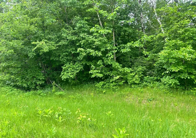 Homes for sale in Cushing, MN | Tbd County Rd 16, Cushing, MN 56443 | MLS# 7091144