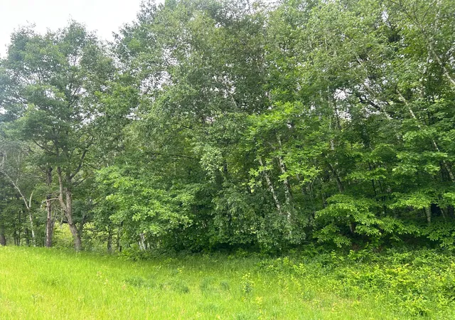 Homes for sale in Cushing, MN | Tbd County Rd 16, Cushing, MN 56443 | MLS# 7091144