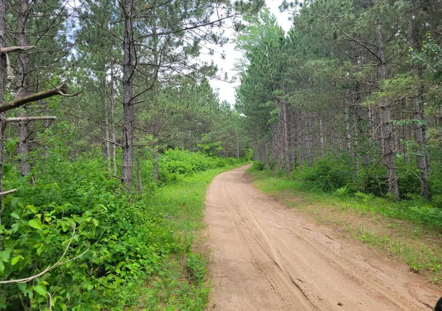 Homes for sale in Nevis, MN | 1045b State Trail, Nevis, MN 56467 | MLS# 7091823
