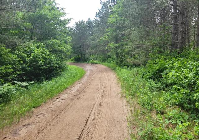 Homes for sale in Nevis, MN | 1045b State Trail, Nevis, MN 56467 | MLS# 7091823
