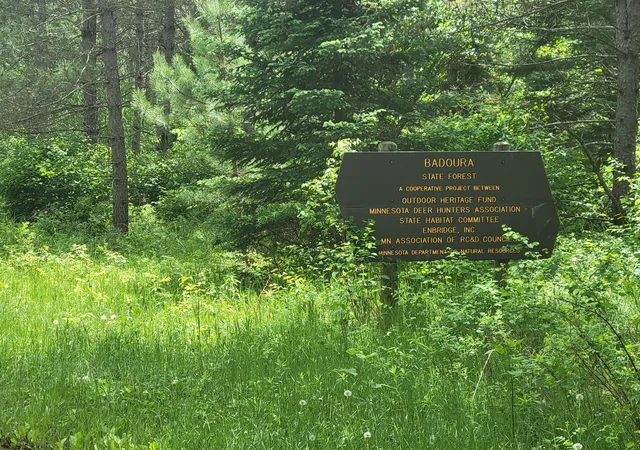 Homes for sale in Nevis, MN | 1045B State Trail, Nevis, MN 56467 | MLS# 7091823