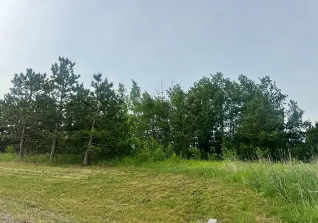 Homes for sale in Nevis, MN | Tbd Tract 3 County 13, Nevis, MN 56467 | MLS# 7091883