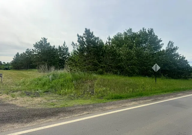 Homes for sale in Nevis, MN | Tbd Tract 3 County 13, Nevis, MN 56467 | MLS# 7091883