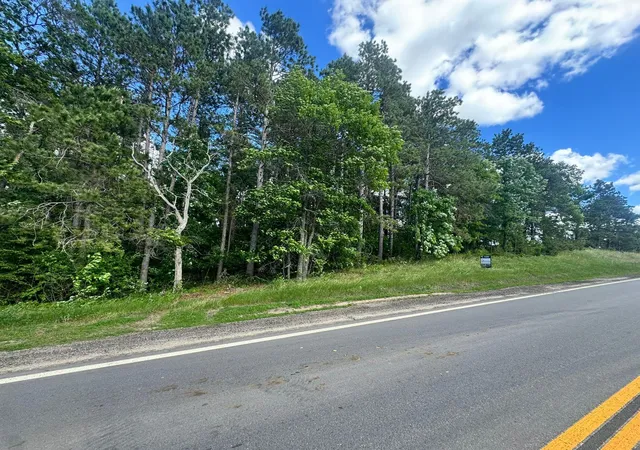 Homes for sale in Nevis, MN | Tbd Tract 1 County 13, Nevis, MN 56467 | MLS# 7091906