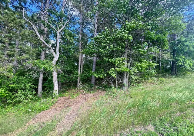 Homes for sale in Nevis, MN | Tbd Tract 1 County 13, Nevis, MN 56467 | MLS# 7091906