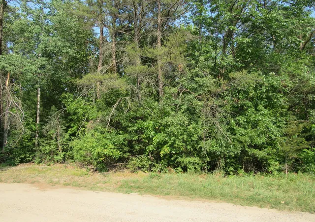 3rd image of Lots 5-11 Tbd Front Street Front Street, Pine River, MN 56474 | MLS# 7091925