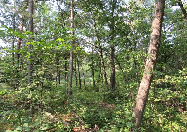 4th image of Lots 5-11 Tbd Front Street Front Street, Pine River, MN 56474 | MLS# 7091925