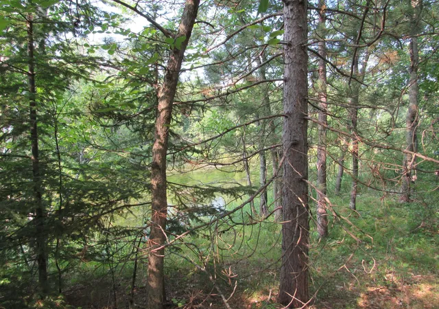 5th image of Lots 5-11 Tbd Front Street Front Street, Pine River, MN 56474 | MLS# 7091925