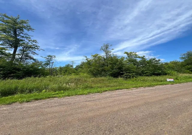 Homes for sale in Isle, MN | 32530 186th St, Isle, MN 56342 | MLS# 7091927