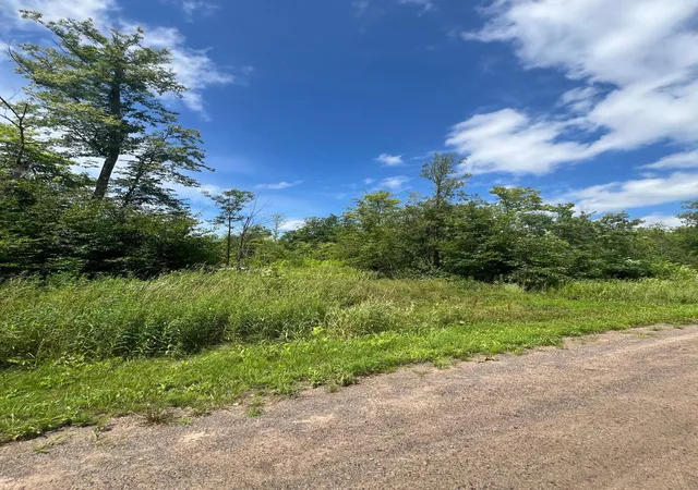 Homes for sale in Isle, MN | 32530 186th St, Isle, MN 56342 | MLS# 7091927