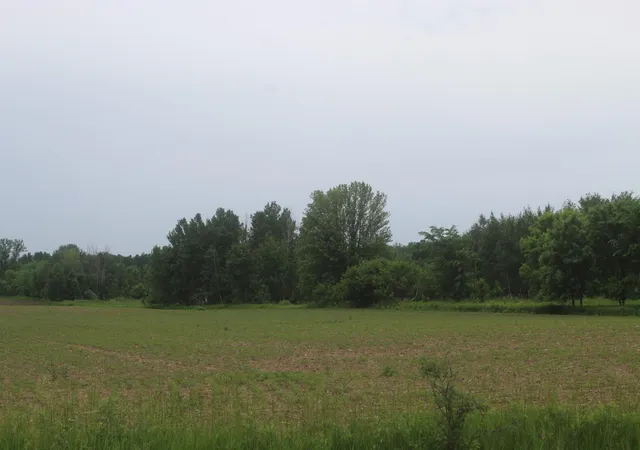 2nd image of 10xx 120 Ave, Ogilvie, MN 56358 | MLS# 7091971