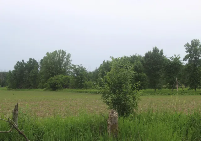 3rd image of 10Xx 120 Ave, Ogilvie, MN 56358 | MLS# 7091971