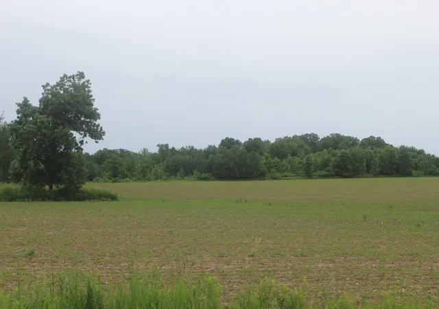 5th image of 10Xx 120 Ave, Ogilvie, MN 56358 | MLS# 7091971