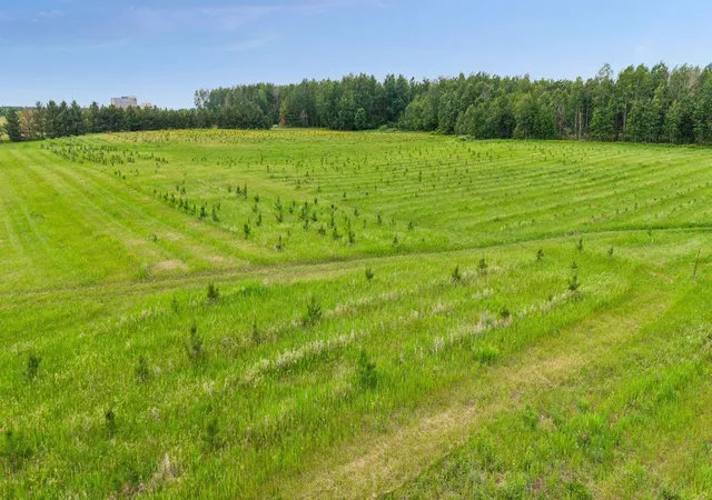 Homes for sale in Hinckley, MN | 40335 Government Rd, Hinckley, MN 55037 | MLS# 7092131
