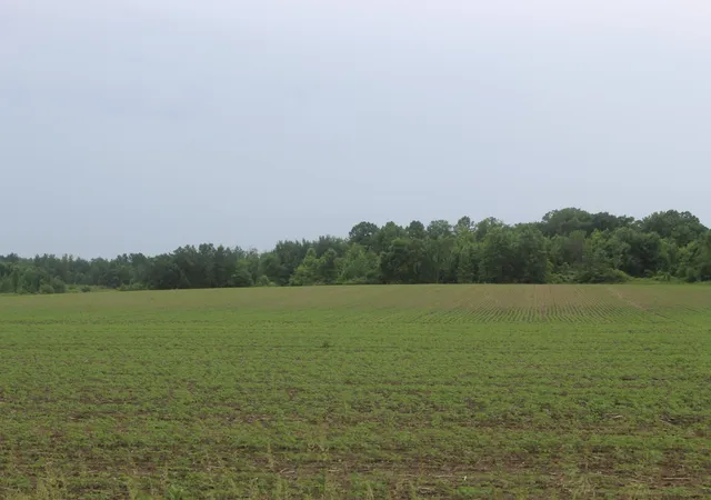 1st image of 1021 120th Ave, Milaca, MN 56353 | MLS# 7092179