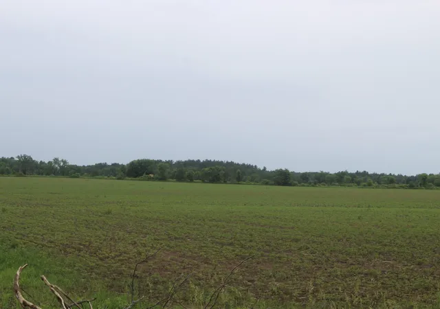 2nd image of 1021 120th Ave, Milaca, MN 56353 | MLS# 7092179