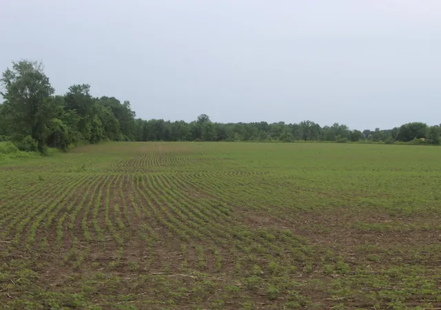 3rd image of 1021 120Th Ave, Milaca, MN 56353 | MLS# 7092179
