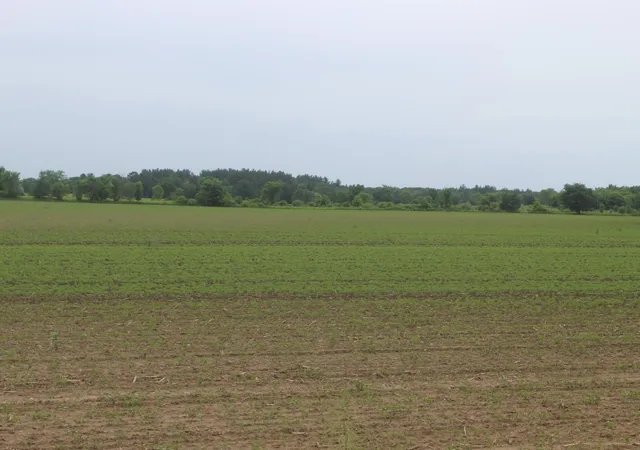 4th image of 1021 120Th Ave, Milaca, MN 56353 | MLS# 7092179