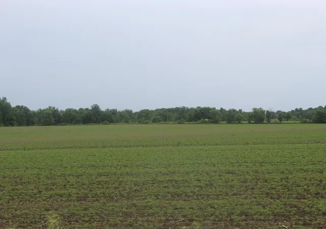 5th image of 1021 120Th Ave, Milaca, MN 56353 | MLS# 7092179
