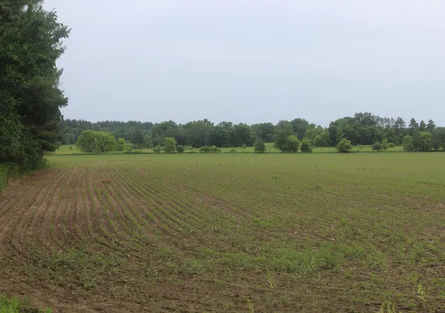 1st image of 1xxx 120th Ave, Ogilvie, MN 56358 | MLS# 7092201