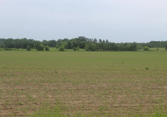 2nd image of 1xxx 120th Ave, Ogilvie, MN 56358 | MLS# 7092201