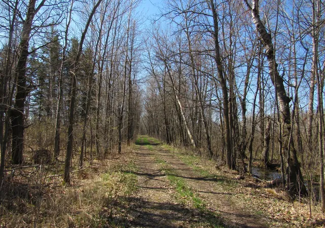 1st image of Tbd County Road 41, Willow River, MN 55795 | MLS# 7092265