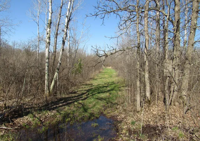 5th image of Tbd County Road 41, Willow River, MN 55795 | MLS# 7092265